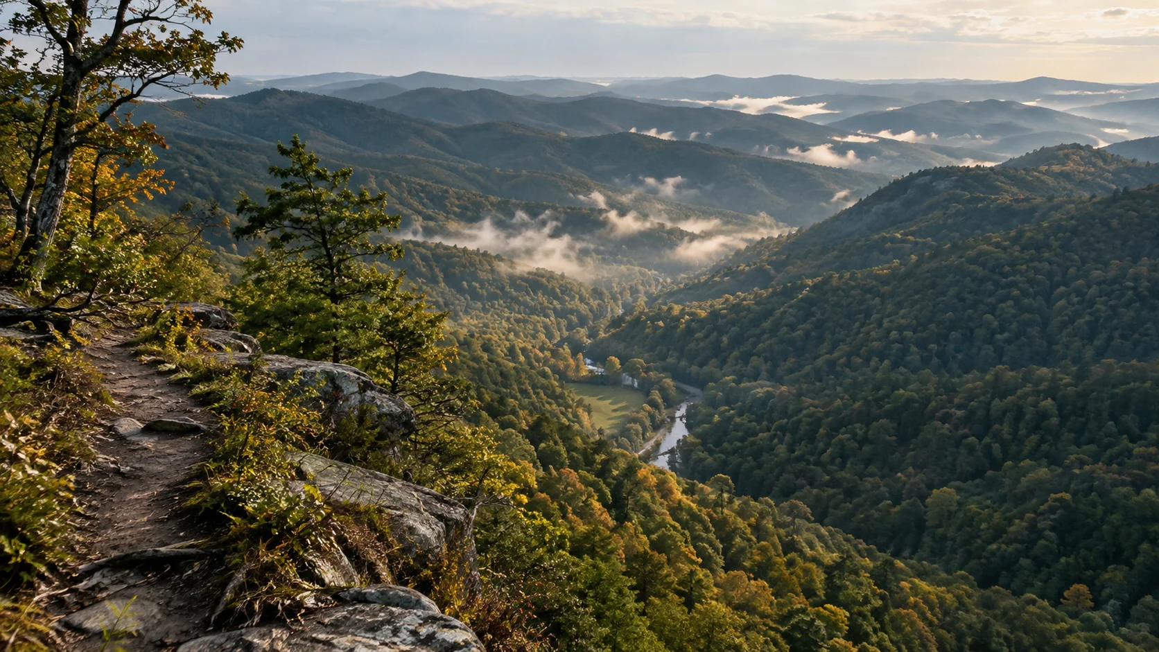 The Quiet Zone Wilderness